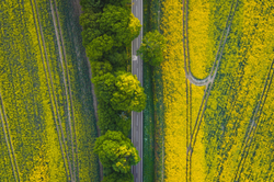 Slow  - yellow and green.