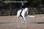 BPP_8381