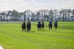 100426-Race 5-Myal-3377