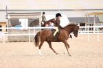 SBM_18060