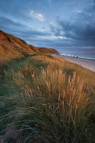 It's not called the Golden Hour for nothing. But, even better are those magic minutes as the sun is just above the ho…