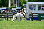 SBM_03818