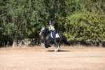 WJ6_7552