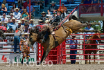 _DSC5564