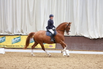 SBM_000920