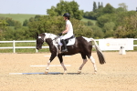 SBM_008608