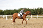 SBM_007425