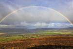 Through the Rainbow