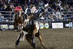 Barringer Frantz_DSC2538
