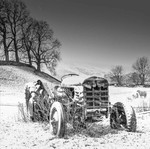 IMG_6799-Old Fergie 