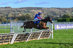251025-Race 5-The Egyptian Ginge-9513
