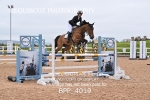 BPP_4019