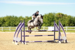 SBM_002849