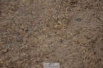 230813A-090534-11151