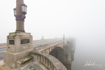 Market Street Fog