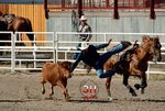 _DSC8861