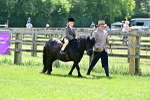SBM_05741