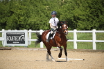SBM_008808