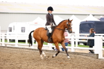 SBM_00639
