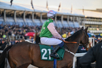 130326-Race 6-Willewonga-3145