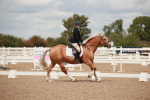 SBM_05889