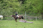 WJ6_3176