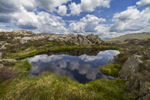 Tarn on Haystacks