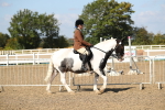 SBM_03104