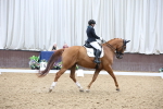 SBM_008051