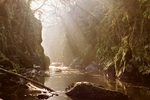 Fairy Glen winter horizontal