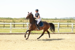 SBM_000396