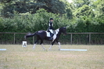 WJ6_4206