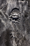20100826_0147