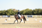 SBM_016851