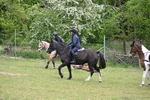 WJ6_1251