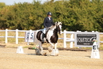 SBM_016749