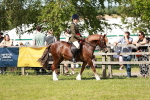 SBM_08461