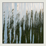 theme 10 week 2: VISUAL RHYTHM
