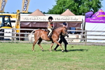 SBM_19835