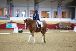 SBM_06673