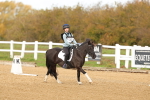 SBM_000732