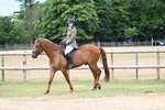 Class 2 Best rider portfolio