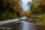 River North Esk at Grannochy, Autumn Colour 2