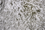 Congested_RLP0018