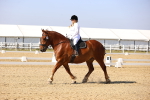 SBM_002754