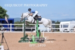 BPP_1499