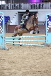 SBM_004294