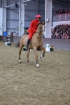SBM_004263