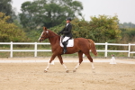 SBM_01441