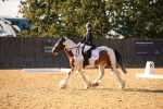 SBM_28329